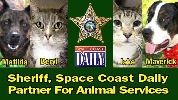 BCSO-SCD-PETS-580-2S