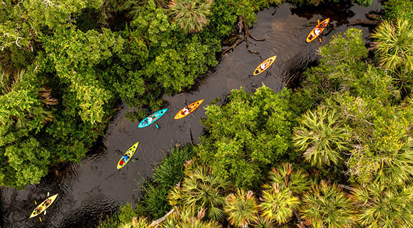 Space Coast Images Among Florida Wildlife Federation Statewide Photo Contest Winners